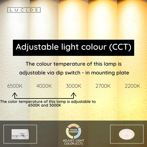 Lucide OLSON - Flush ceiling light Bathroom - Ø 29 cm - LED - CCT - 1x24W 3000K/6500K - IP44 - Opal - USP